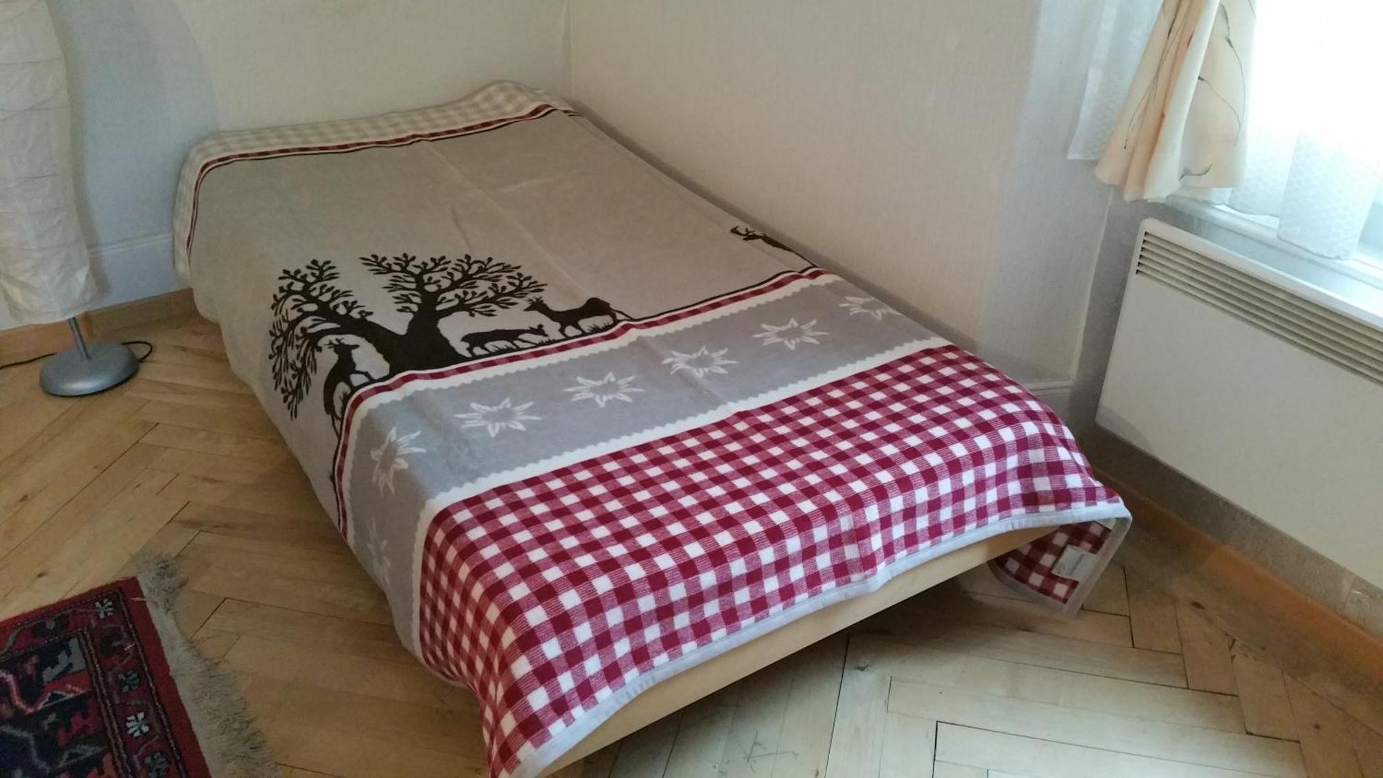 Ferienwohnung Haus Ryter Göschenen Szoba fotó